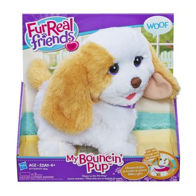dog1