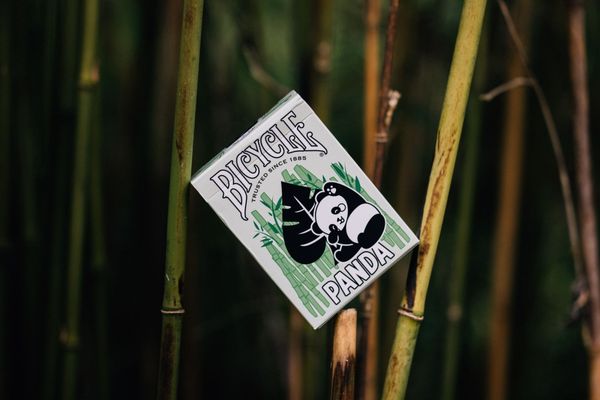 Baralho Bicycle Panda