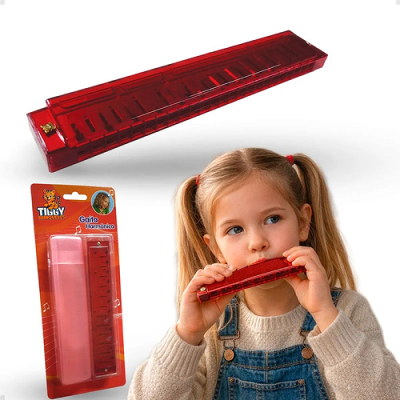 INSTRUMENTO MUSICAL GAITA HARMONICA 24 VOZES