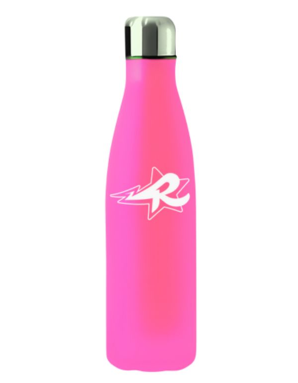 Garrafa de Inox Rosa Emilly